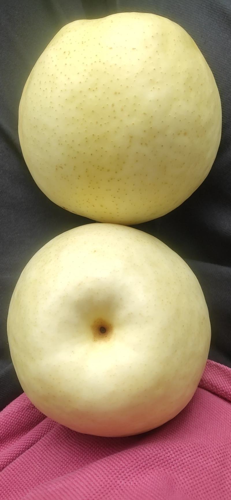 精品皇冠梨上市了