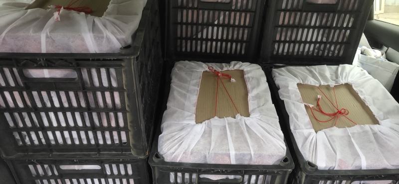 精品皇冠梨上市了