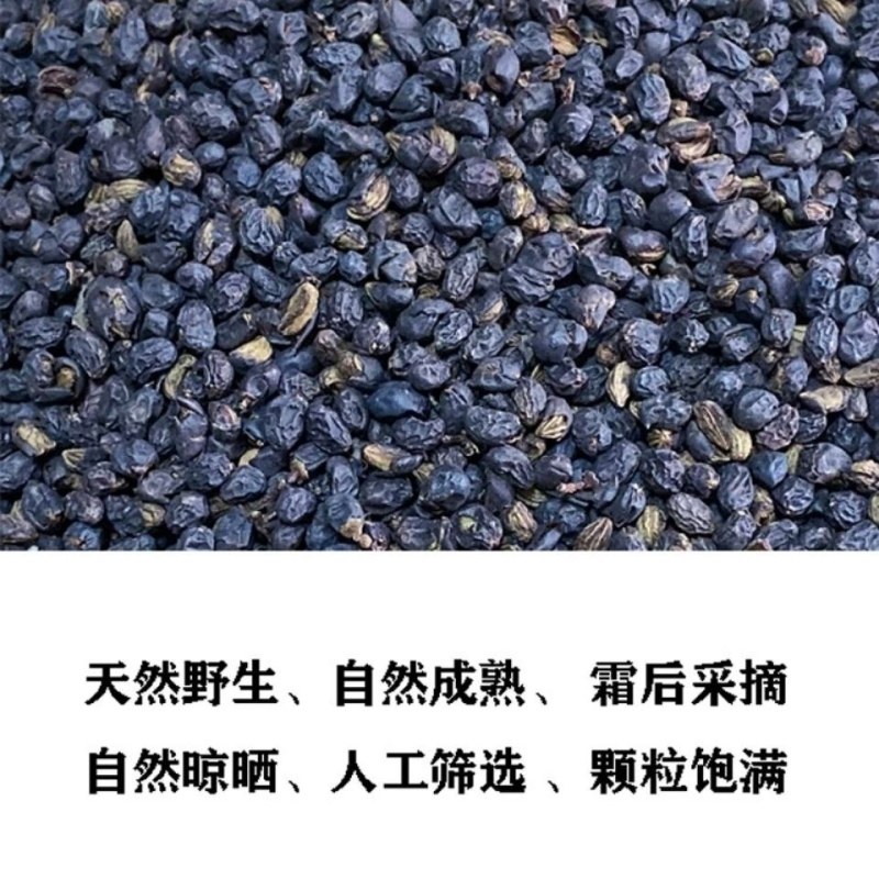 中药材女贞子女贞籽霜后女贞子干货鲜货选供