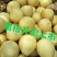 红肉黄肉蜜柚