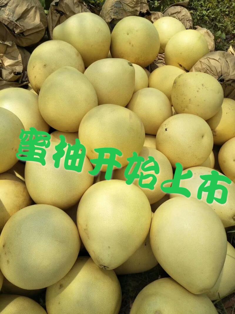 红肉黄肉蜜柚