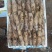 湛江特产，新鲜毛薯