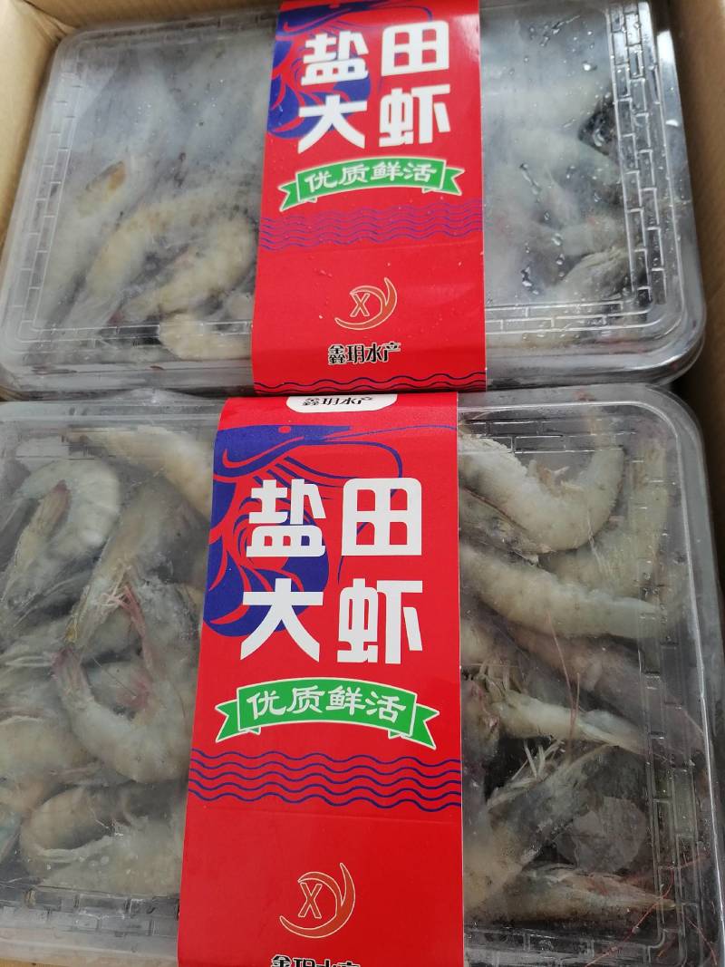 国产盐田大虾