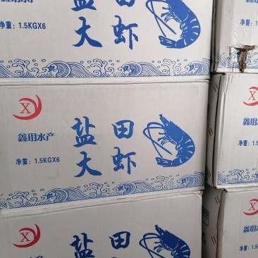 国产盐田大虾