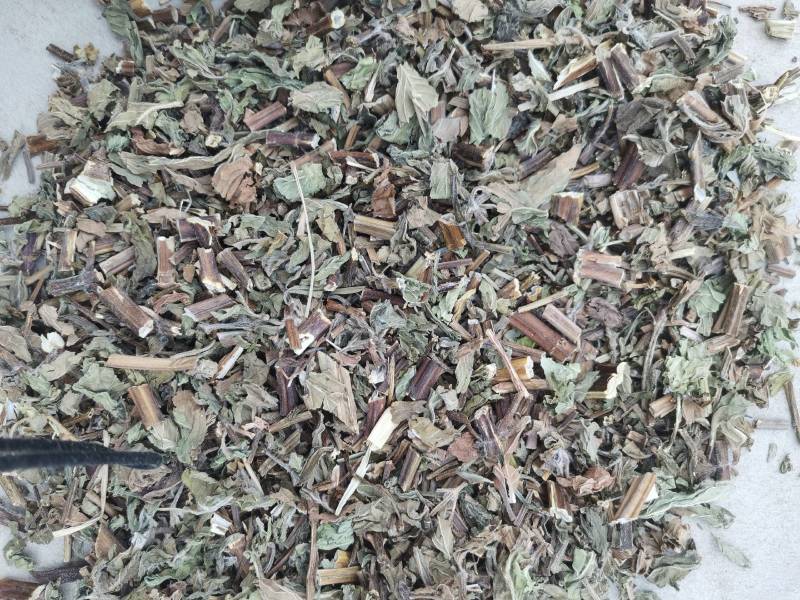 薄荷