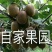 眉县徐香猕猴桃