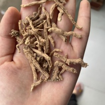 远志精品大节子无硫熏蒸新货大节