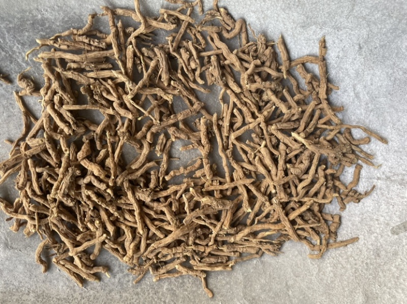远志精品大节子无硫熏蒸新货大节