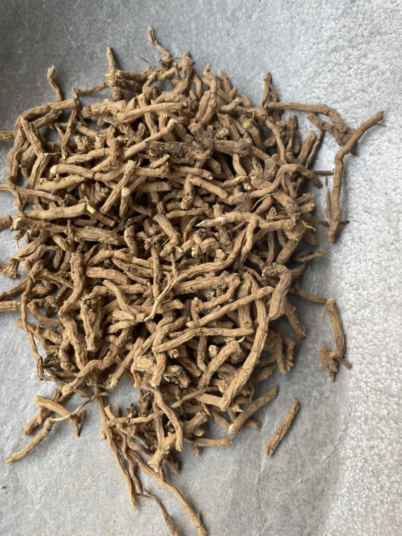 远志精品大节子无硫熏蒸新货大节