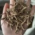远志精品大节子无硫熏蒸新货大节