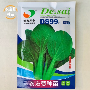 德赛青梗菜种子DS99/夏之丰油绿新品种一代交配夏秋耐热