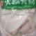 精品牛黄喉中段牛黄喉牛心管火锅食材厂家直销