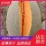 山东西州蜜25号小蜜25哈密瓜产地直发口味一级质量保障