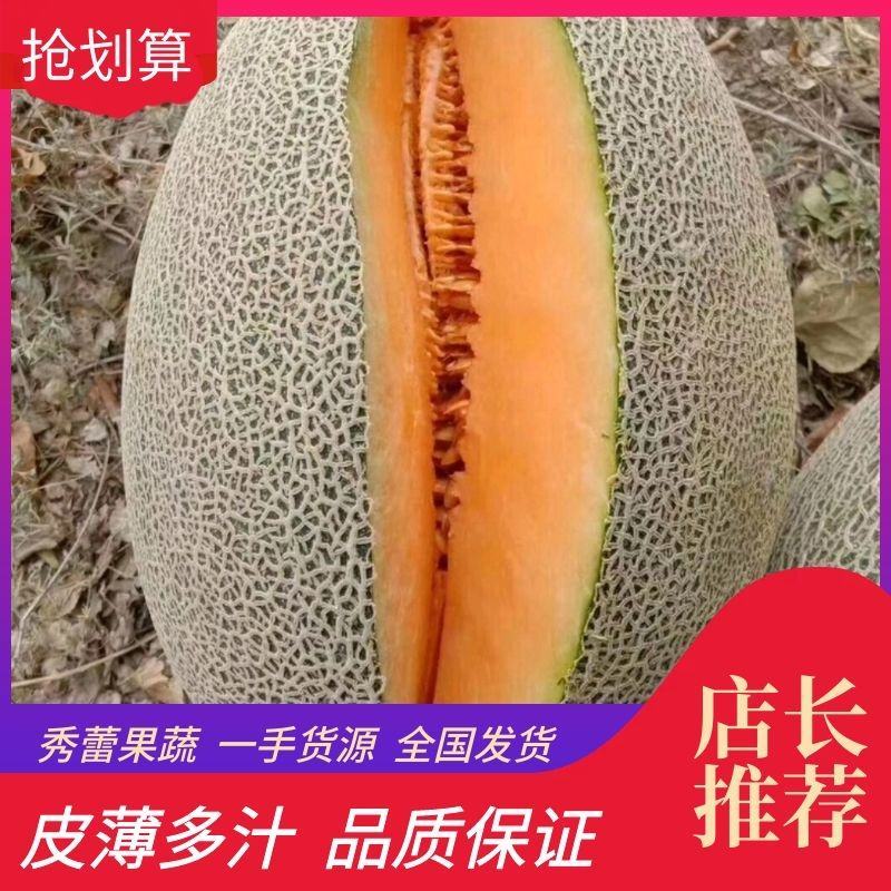 山东西州蜜25号小蜜25哈密瓜产地直发口味一级质量保障