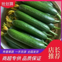 无刺小黄瓜，大批量有货干花3元左右鲜花7元左右