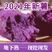 紫薯紫罗兰支持一件代发产地直供保质保量