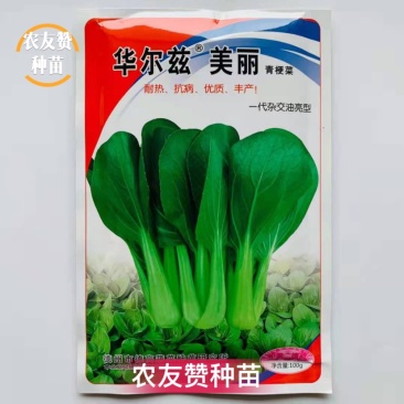 德高青梗菜种子一代杂交油亮型耐热耐湿抗病
