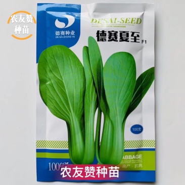 农户专用高产抗病青梗菜种子叶色亮绿夏季不易拔