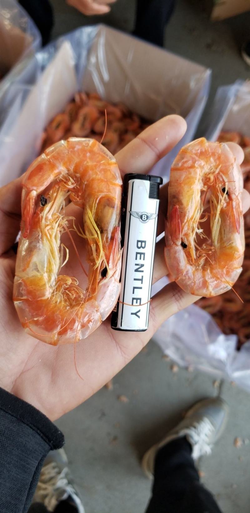 【推荐】精品虾干，干度好，微咸，个头大，一手货源