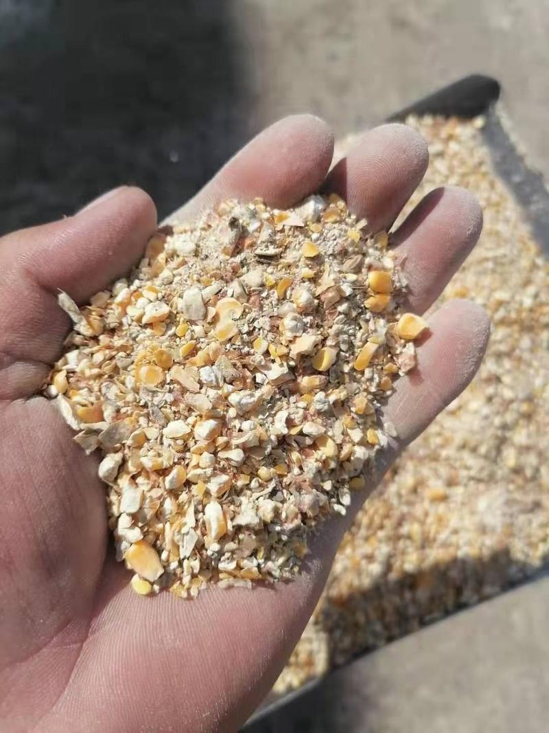 碎玉米质量保证无土无霉变水分低本公司常年出售养殖
