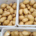 226土豆V7土豆V8土豆克星土豆白黄都有