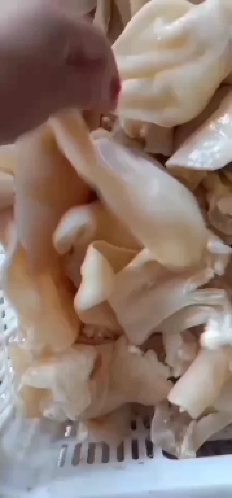 牛耳，自家煮货，一手货源，货量充足，大量现货批发零售。