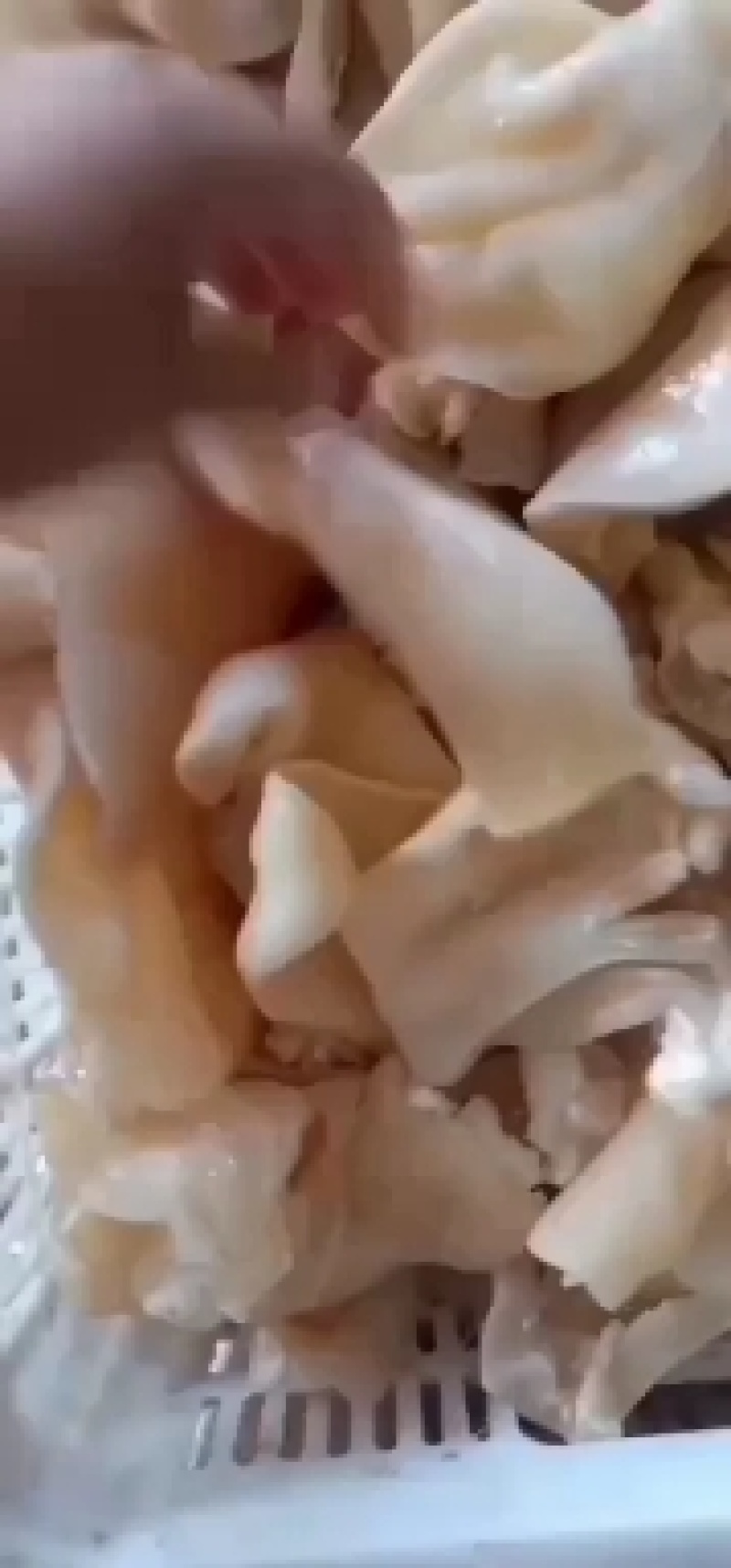 牛耳，自家煮货，一手货源，货量充足，大量现货批发零售。