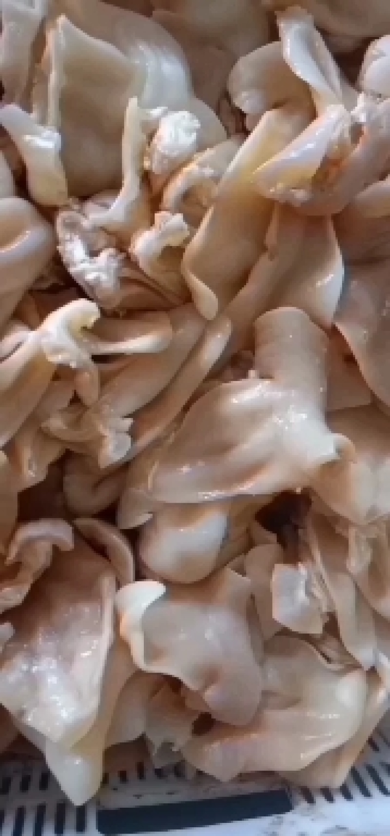 牛耳，自家煮货，一手货源，货量充足，大量现货批发零售。