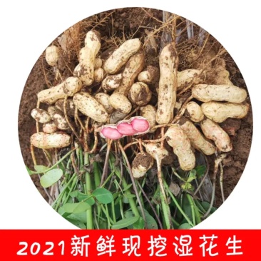 新鲜花生