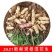 新鲜花生