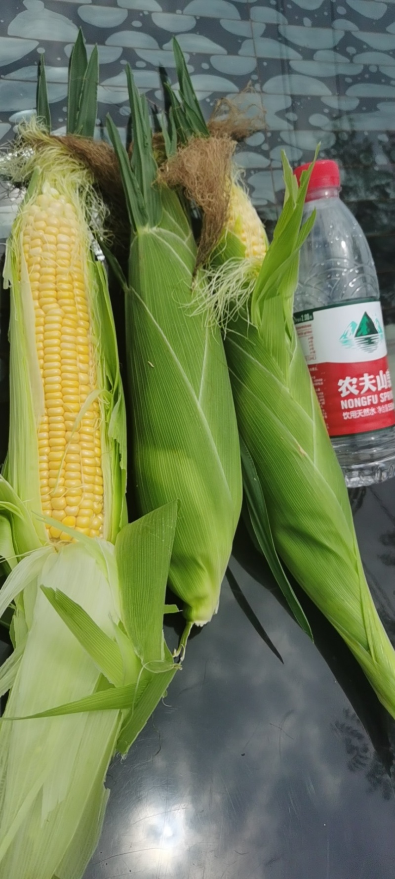 太阳花