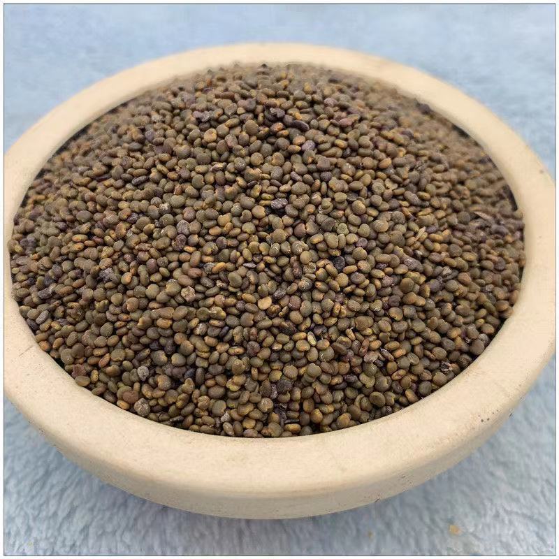 中药材沙苑子粉新货正品沙苑子茶沙苑子现磨粉包邮