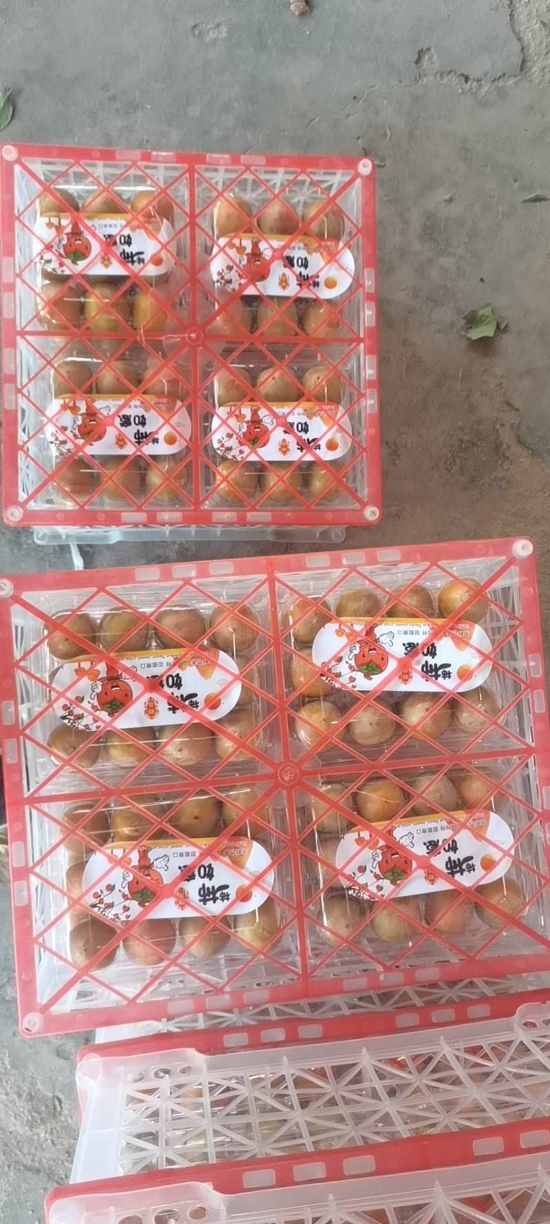吊红，火晶柿，火罐，正在火热上市中，支持视频看货