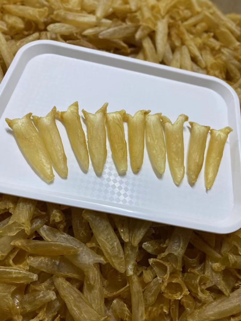 批发黄花胶鱼胶花胶筒干货一件代发支持视频看货