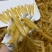 批发黄花胶鱼胶花胶筒干货一件代发支持视频看货