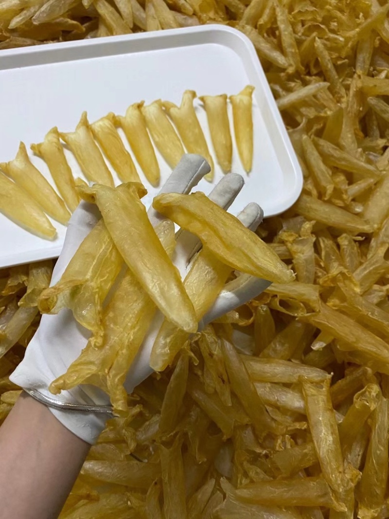 批发黄花胶鱼胶花胶筒干货一件代发支持视频看货