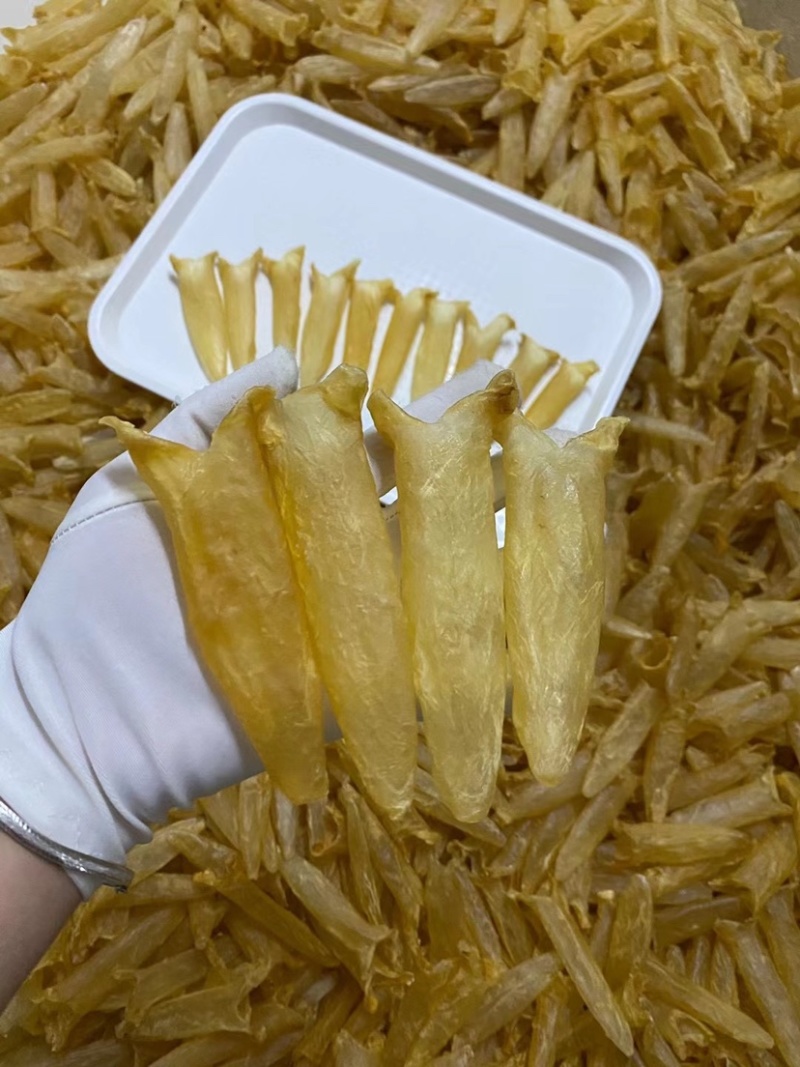 批发黄花胶鱼胶花胶筒干货一件代发支持视频看货
