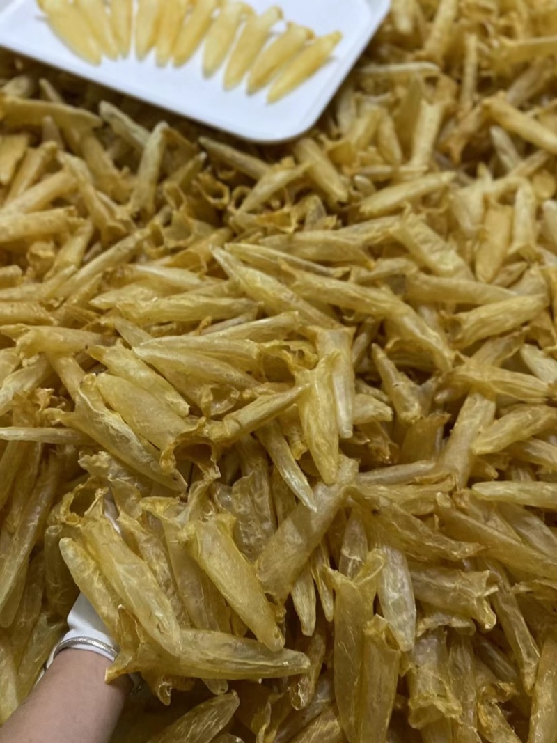 批发黄花胶鱼胶花胶筒干货一件代发支持视频看货