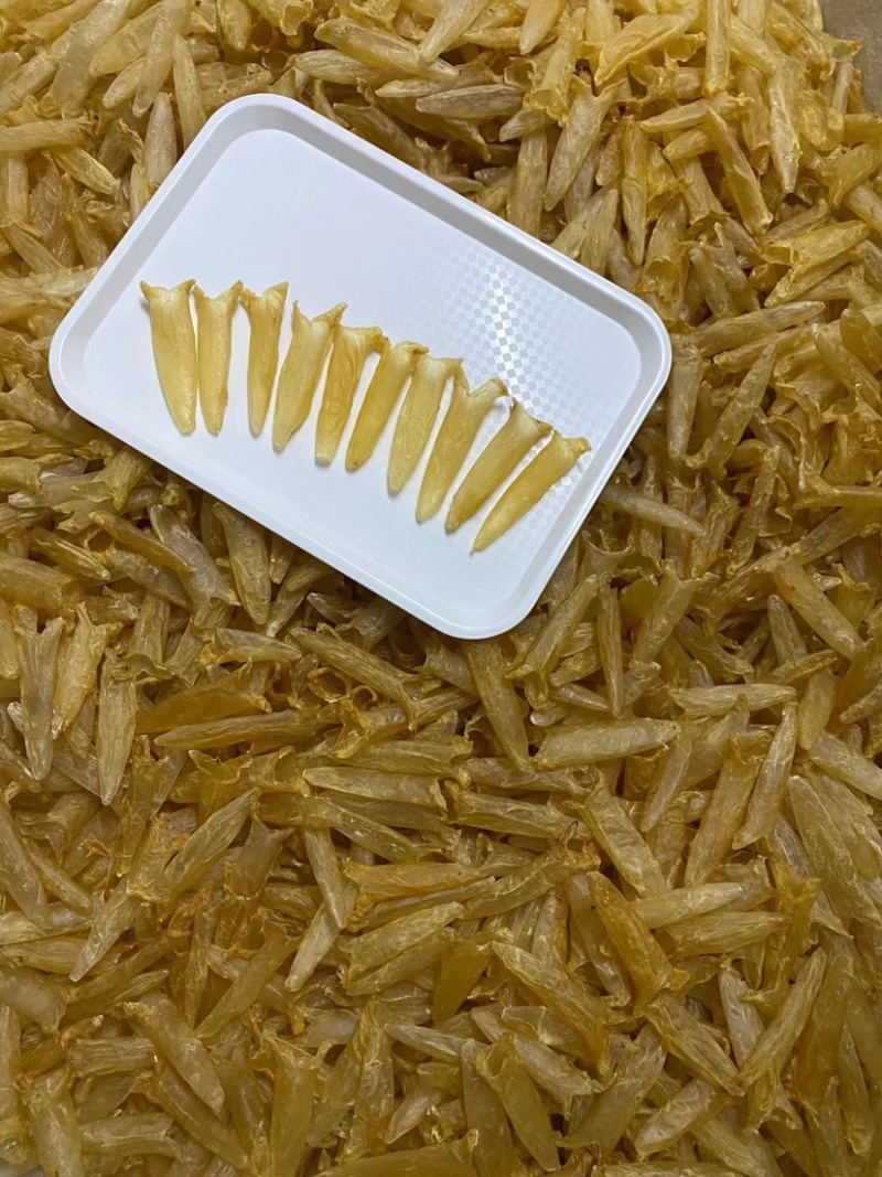 批发黄花胶鱼胶花胶筒干货一件代发支持视频看货