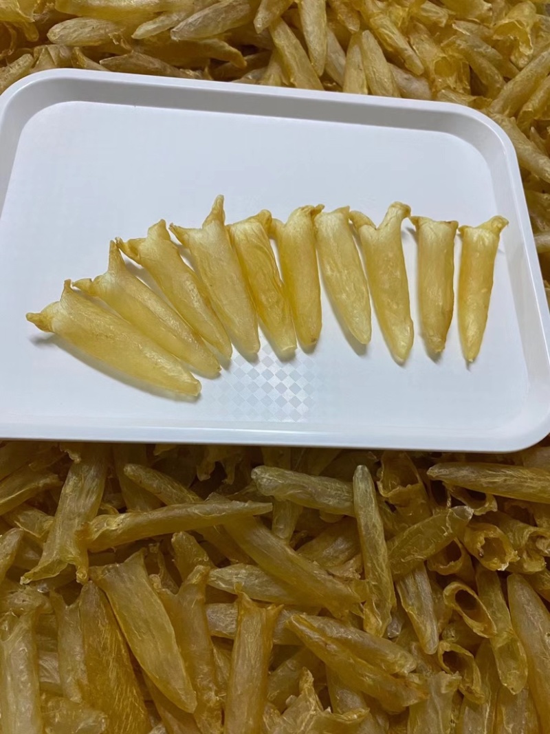 批发黄花胶鱼胶花胶筒干货一件代发支持视频看货