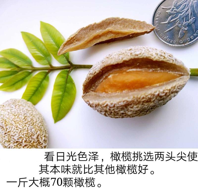 闽清橄榄