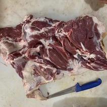 带皮羊肉纯干货带皮去骨羊肉前后腿肉🔥