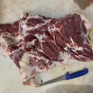 带皮羊肉纯干货带皮去骨羊肉前后腿肉🔥