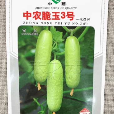 中农翠玉3号黄瓜种子，100粒