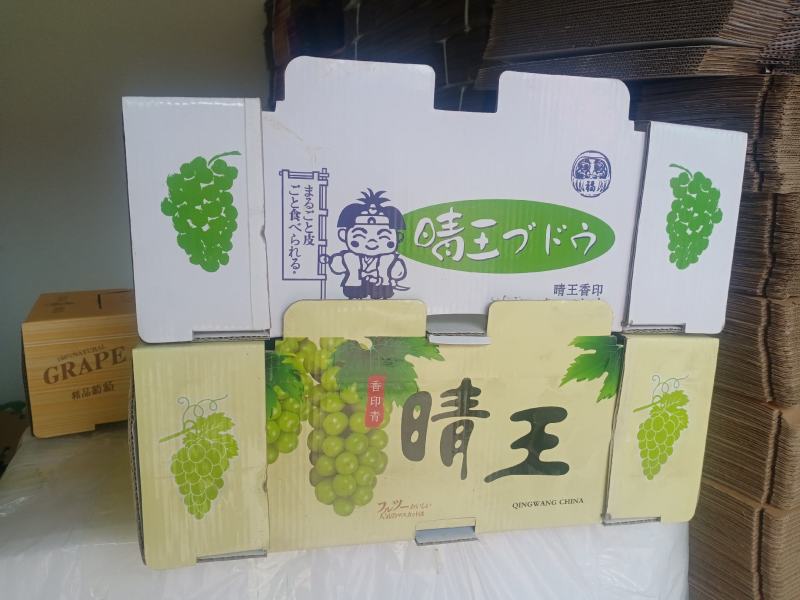 阳光玫瑰大量上市了！能维持到年底！质量保证！品质好！