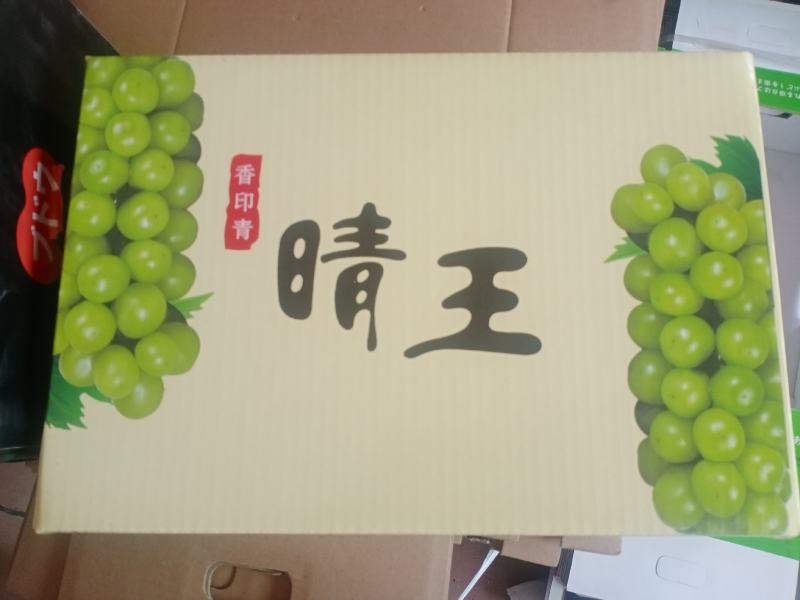 七月中旬开始大量供应各种葡萄，九月份阳光玫瑰大量上市