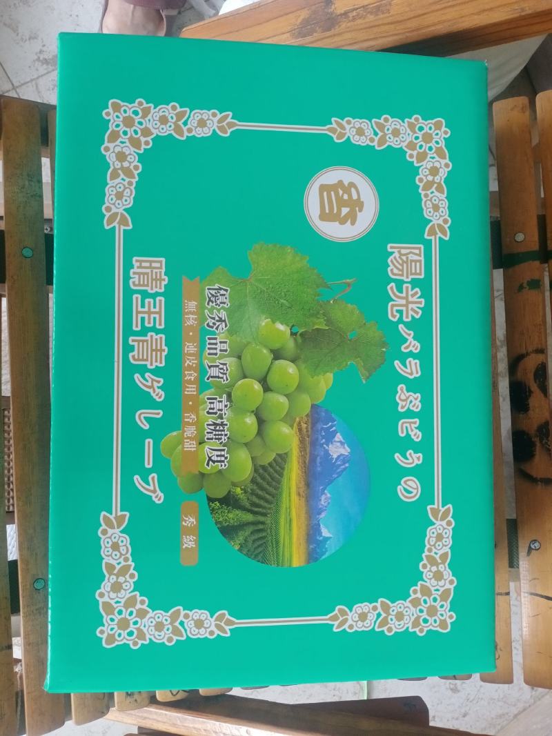 七月中旬开始大量供应各种葡萄，九月份阳光玫瑰大量上市