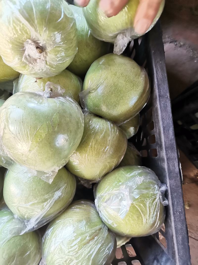 王林苹果，青苹果，口感脆甜，货源充足，质优价廉！
