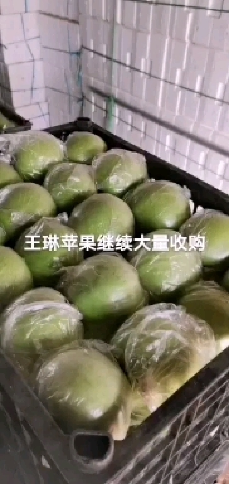 王林苹果，青苹果，口感脆甜，货源充足，质优价廉！