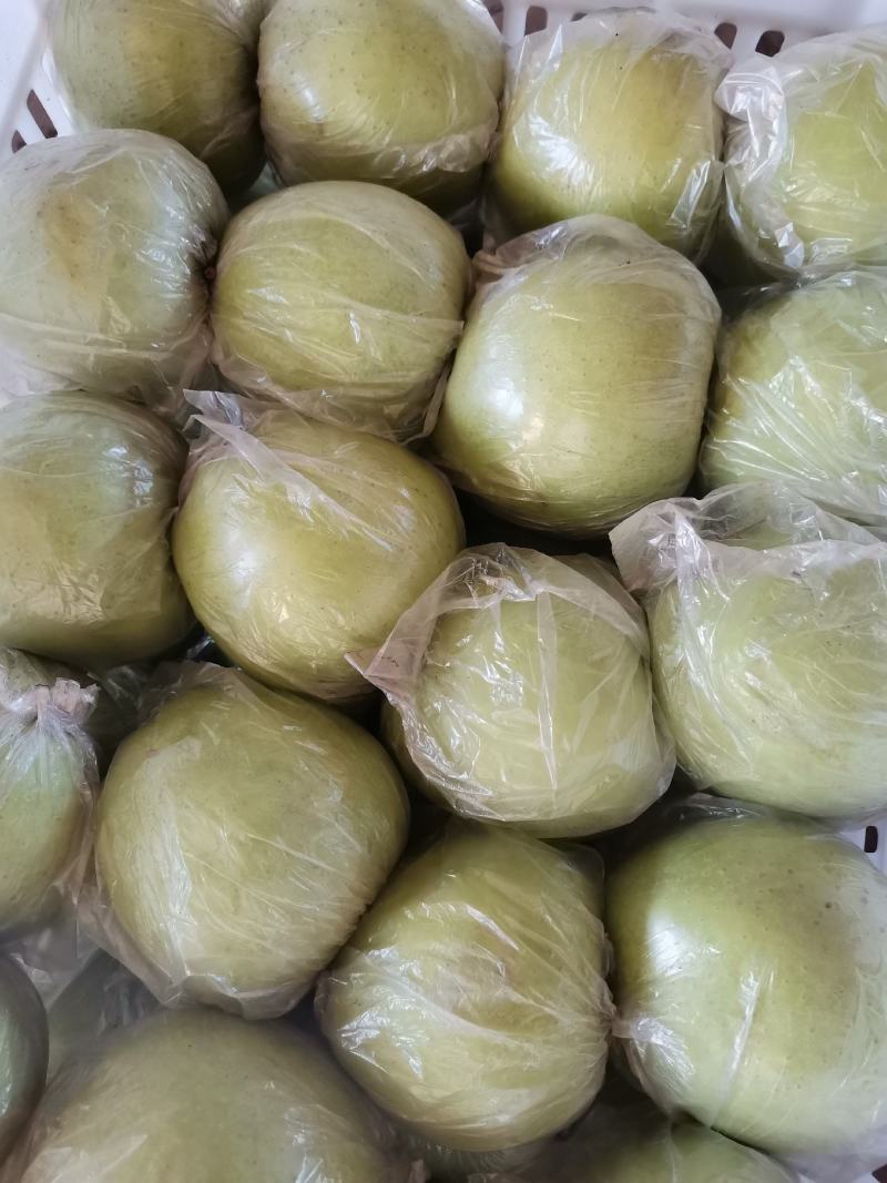 王林苹果，青苹果，口感脆甜，货源充足，质优价廉！